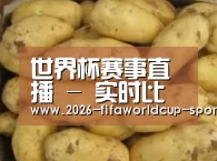 产品展示标题6