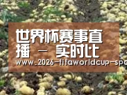 种植基地八(图1)