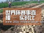 种植基地八