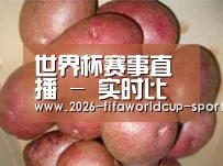 产品展示标题1