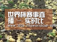 种植基地七