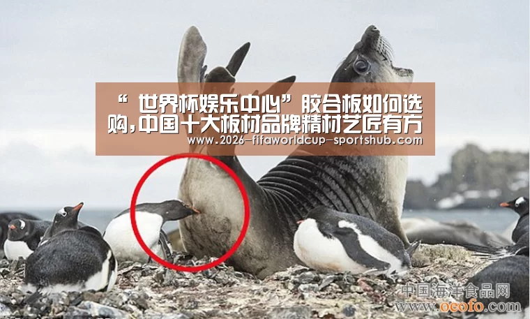 “ 世界杯娱乐中心”胶合板如何选购,中国十大板材品牌精材艺匠有方法(图3) 世界杯娱乐中心
