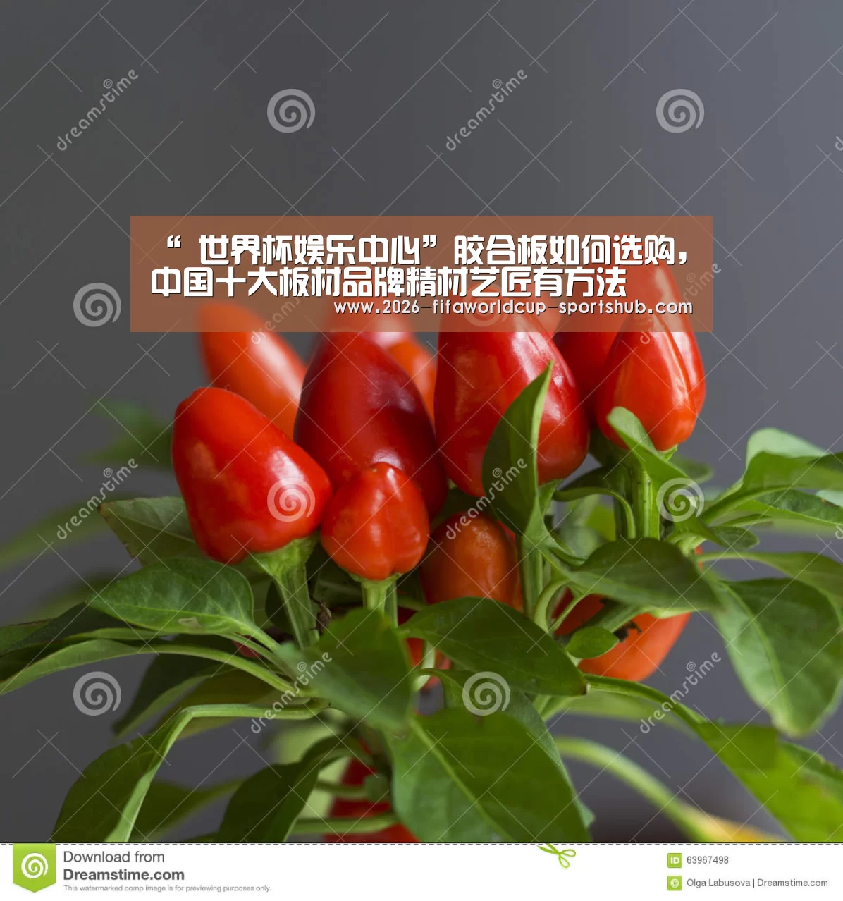 “ 世界杯娱乐中心”胶合板如何选购,中国十大板材品牌精材艺匠有方法(图2) 世界杯实时比分