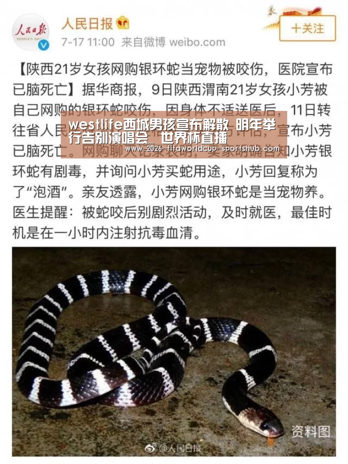 westlife西城男孩宣布解散 明年举行告别演唱会_ 世界杯直播(图3) 世界杯赛事直播