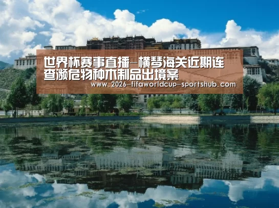  世界杯实时比分