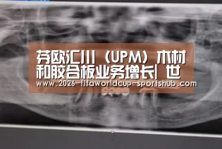 芬欧汇川(UPM)木材和胶合板业务增长| 世界杯娱乐中心(图1) 世界杯娱乐中心