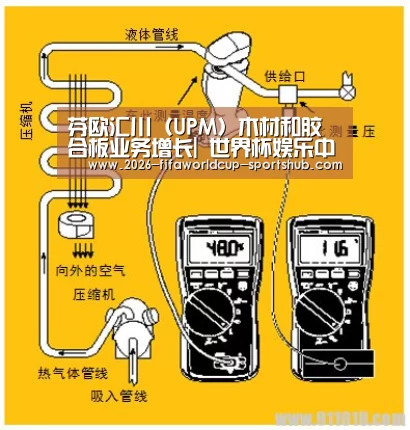 芬欧汇川(UPM)木材和胶合板业务增长| 世界杯娱乐中心(图2) 世界杯实时比分